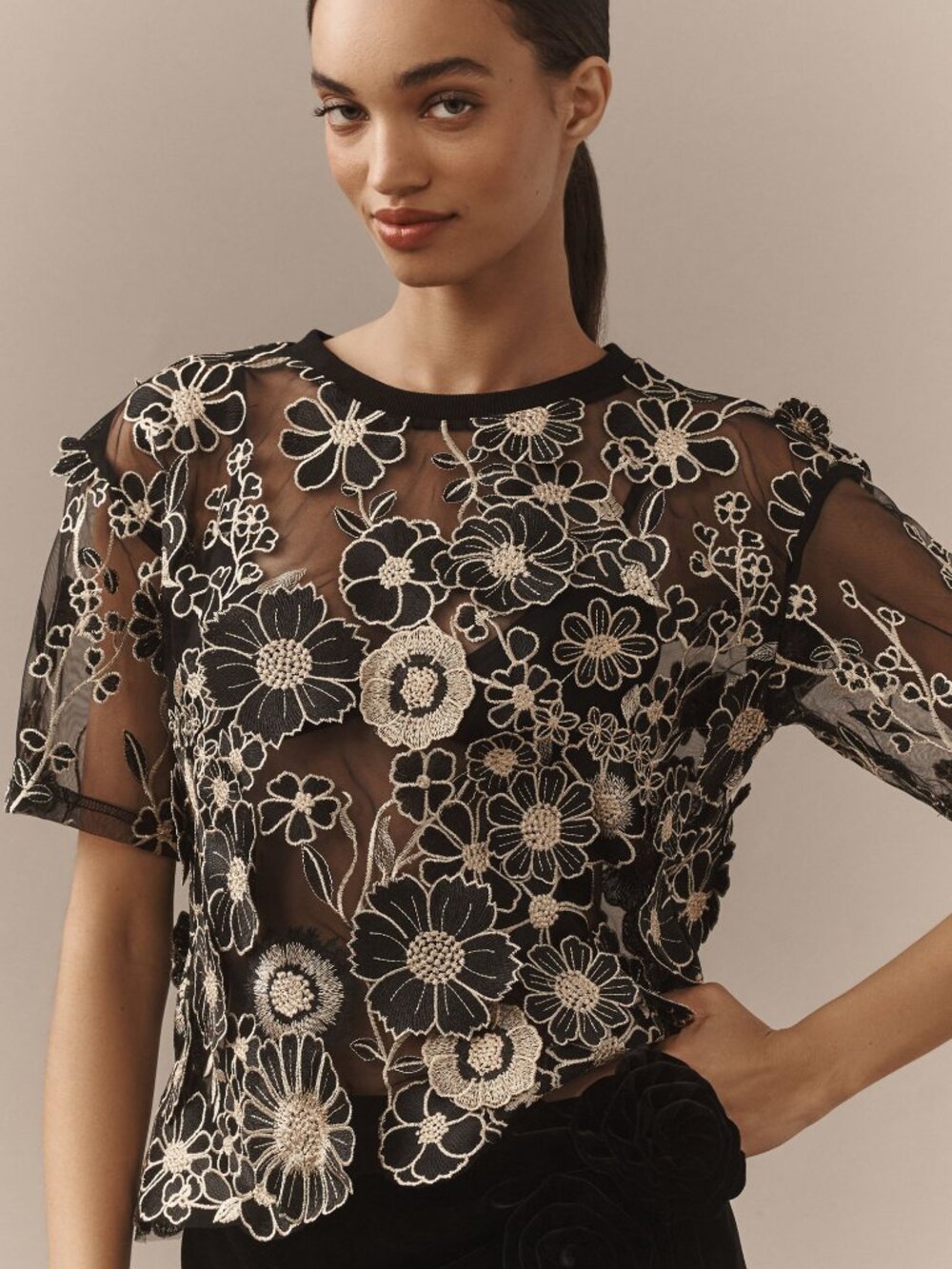 Dolan Flower Appliqué Sheer Tee